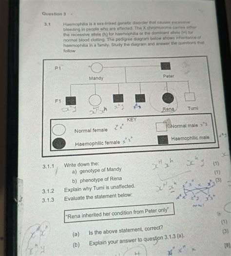 3 Haemophilia Is A Sex Linked Genetic StudyX