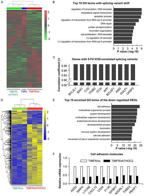 Analysis Of Differentially Expressed Genes And Splicing Variants In