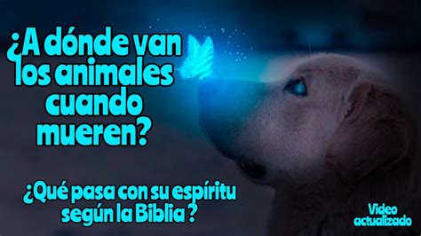 A dónde van los perros cuando mueren según la biblia Evangélico