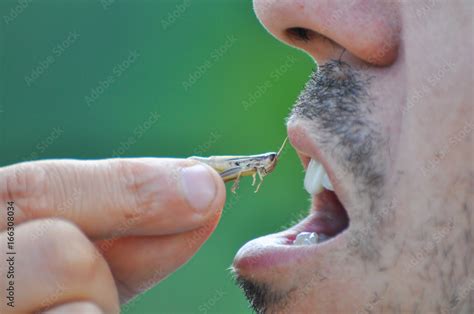 Men eating a grasshopper. Extreme survival in a nature. Food of the ...