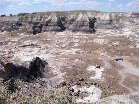 Petrified forest national park,petrified,fossils,national park,america ...