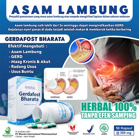 Jual Obat Asam Lambung Gerd Maag Kronis Dan Maag Akut Gerdafost