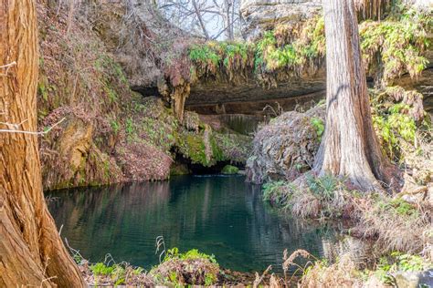 Texas' Magical Westcave Preserve: 7 Essential Tips for Visiting