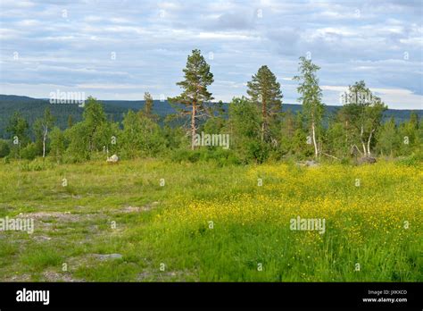 Peace Of Fields And Forests Hi Res Stock Photography And Images Alamy