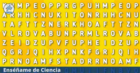 Encuentra La Palabra Perro En La Sopa De Letras Divi Rtete Con El