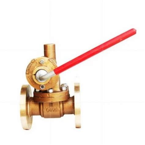 Inch Bronze Parallel Slide Blow Off Valve At Rs In Mumbai Id