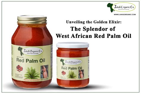 Unveiling The Golden Elixir The Splendor Of West African Red Palm Oil