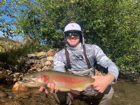 St Louis Cardinals Go Fly Fishing Colorado Trout Hunters