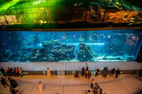 Dubai Eau Octobre Aquarium Dans Le Centre Commercial Dubai