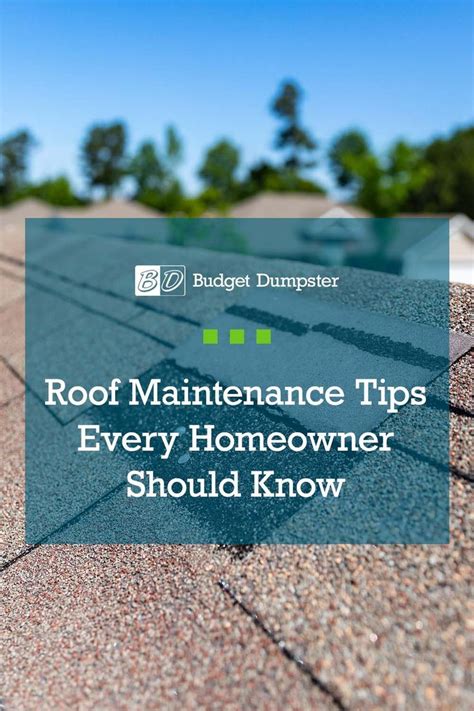 Extend The Life Of Your Roof With These 7 Maintenance Tips Artofit