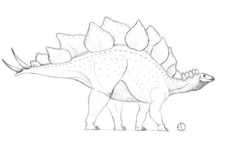 Stegosaurus Sketch By Saurarch On Deviantart