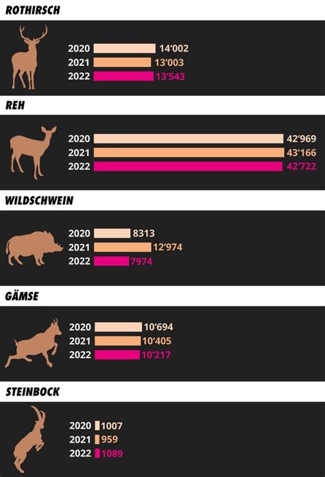 Jagd So viele Tiere werden in der Schweiz für den Wildkonsum geschossen