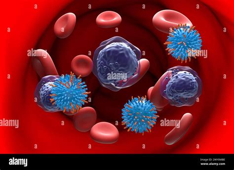 Car T Cell Therapy In Acute Myeloid Leukaemia Aml Section View 3d