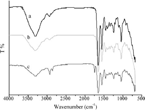 Attenuated Total Reflectance Fourier Transforms Infrared Ftir Atr Download Scientific Diagram