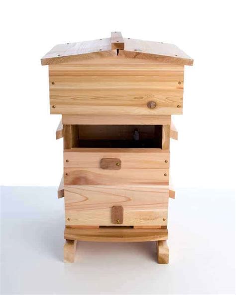 A Detailed Look At The Warre Beehive Perfectbee