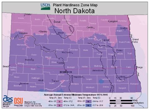 North Dakota Vegetable Planting Calendar