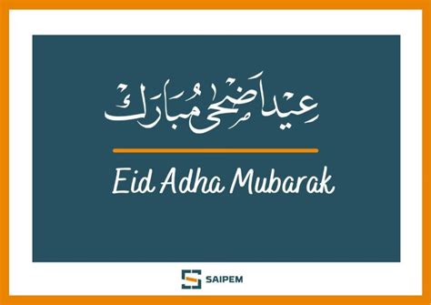 mohammad tanveer posted  linkedin
