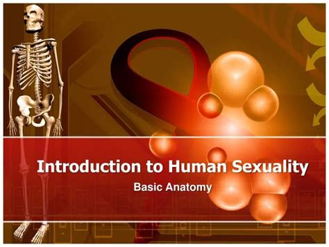 Ppt Introduction To Human Sexuality Powerpoint Presentation Free