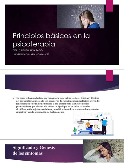 Principios Básicos En La Psicoterapia Pdf Carné De Identidad