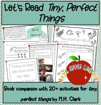 Tiny Perfect Things Book Companion and Learning Activities | TPT