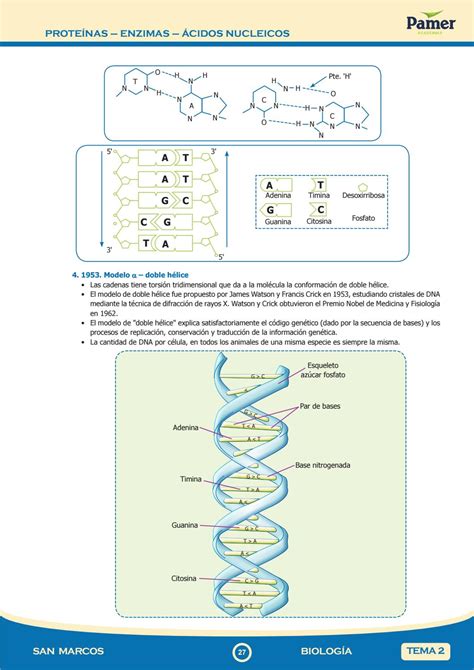 Biologia Pamer Libro By Aldosivi Issuu