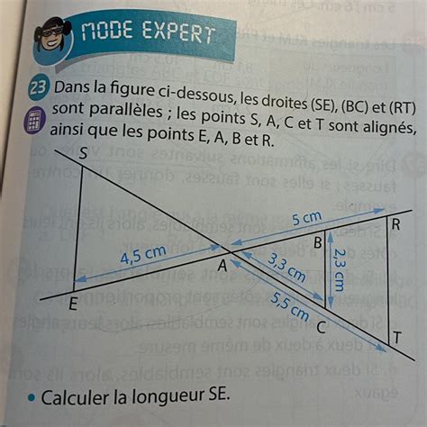 MODE EXPERT 23 Dans La Figure Ci Dessous Les Droites SE BC Et RT