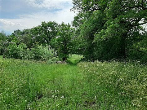 Samedi Mai Journ E D Initiation L Agroforesterie Permabocage