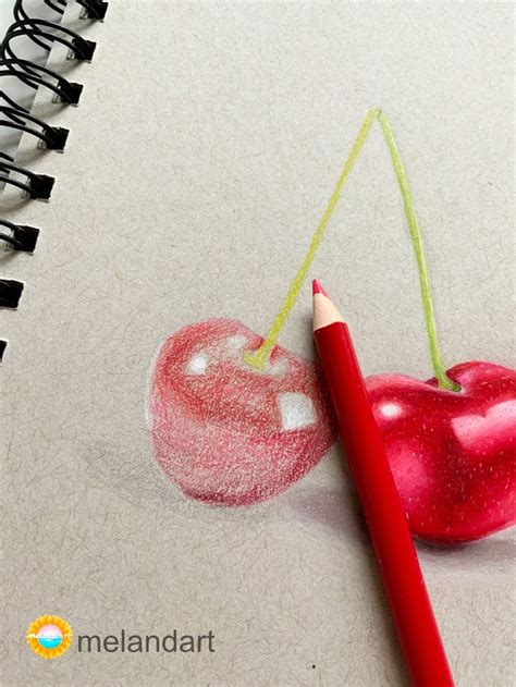 Colored Pencil Cherry Drawing | Cherry drawing, Colored pencils ...