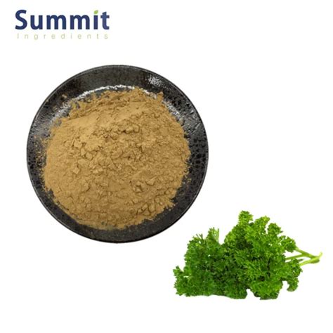 Quality Wholesale Parsley Leaf Extract Powder Parsley Extract Parsley Leaf Extract Buy Parsley