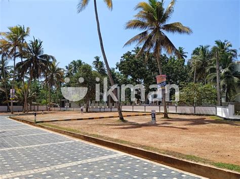 Luxury Land Plots In Wadduwa Town Ikman