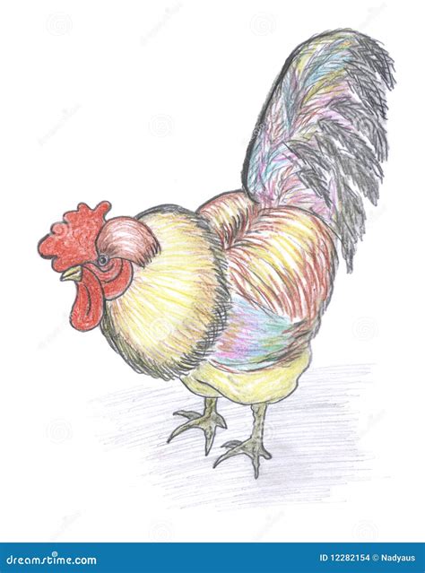 Colored Sketch of rooster stock illustration. Illustration of head ...