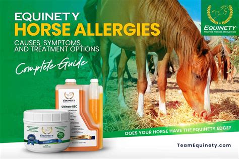 Understanding Horse Allergies Causes Symptoms And Treatment Options