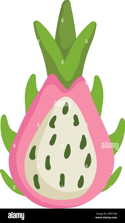 Dragon Fruit Fruit Icon Stock Vector Image And Art Alamy