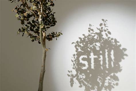 Amazing Shadow Art - Shadow Sculptures - Design Swan