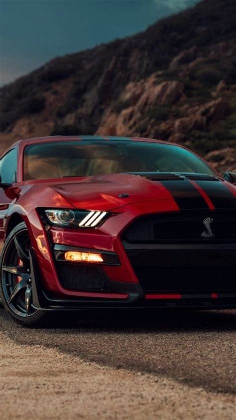 2003 Ford Mustang SVT Cobra: Ultimate Guide