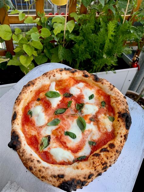 [homemade] Neapolitan Pizza Margherita Food