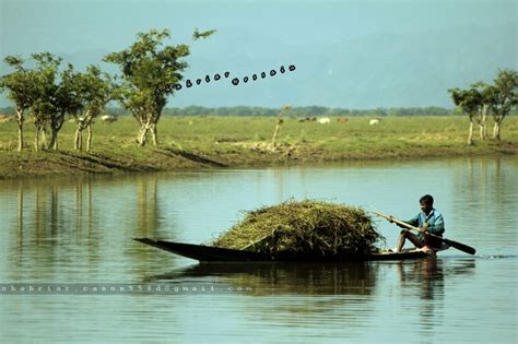 Śħäħřįäř̒'ș ρћ©ţǿğŗăρћŸ: Tanguar haor (Bengali: টাঙ্গুয়ার হাওর)