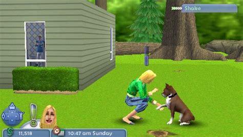 Jogo The Sims Pets Para Psp Dicas An Lise E Imagens