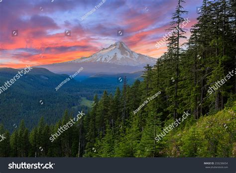 Majestic View Of Mt Hood On A Bright Colorful Sunset During The