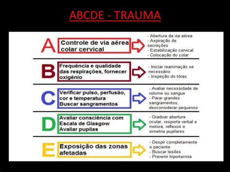 Quais são as 6 etapas do atendimento ao trauma techarex net