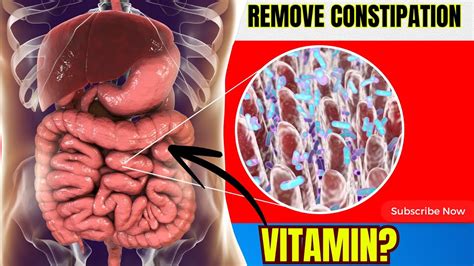 Say Goodbye To Constipation With These Essential Nutrients Youtube