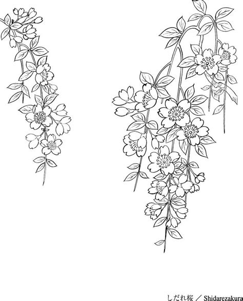 Flower drawing design, Plant drawing, Flower line drawings