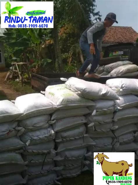 Jual Pupuk Kandang Tukang Pupuk Kandang Kambing Jabodetabek Banten