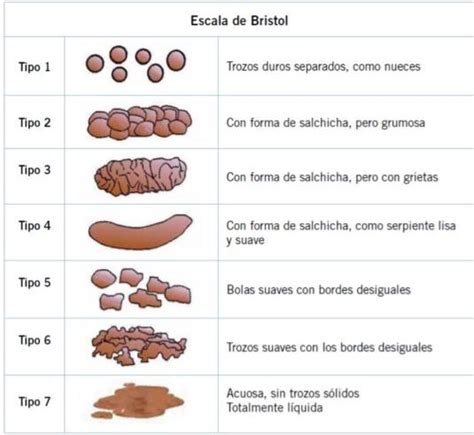 Escala De Bristol Traducido De Heaton Kw Lewis Sj Stool Form Scale