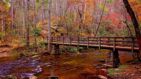 Best Time To See Fall Colors In The Smoky Mountains