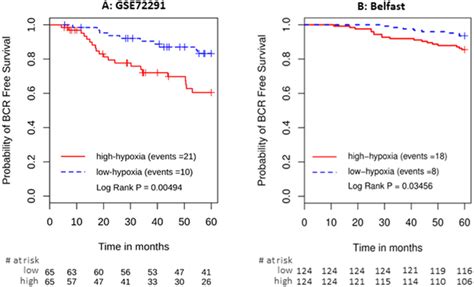 Kaplan Meier Plots For Independent Validation Of The 28 Gene Hypoxia