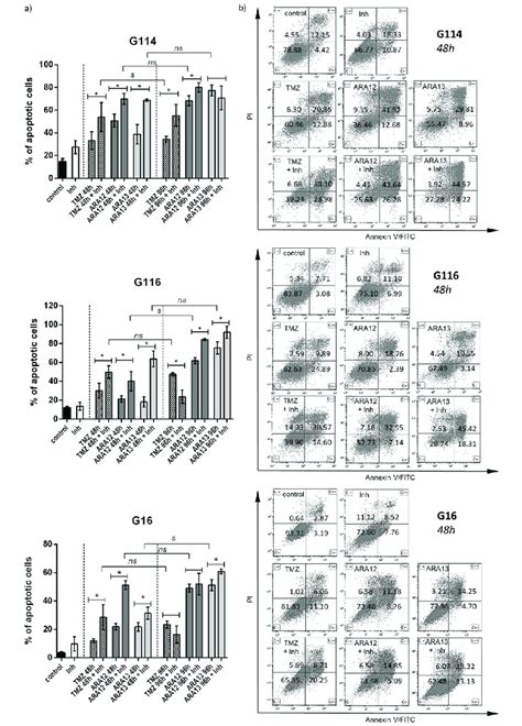 Inhibition Of Treatment Induced Autophagy By Chloroquine Facilitate