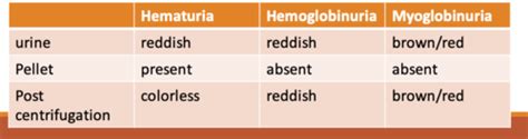 Urinalysis Lab Quiz 1 Flashcards Quizlet