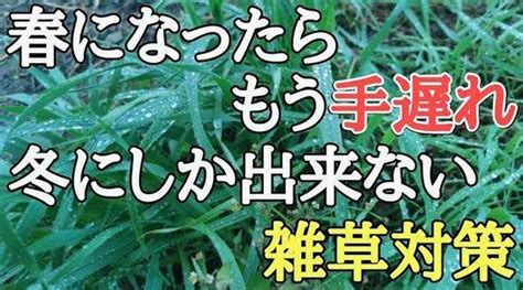 雑草対策、春になったら手遅れかも！ ガーデナーが教える除草剤いらず＆草むしり不要の“生ごみ活用法”に「知らなかった」 ガールズちゃんねる