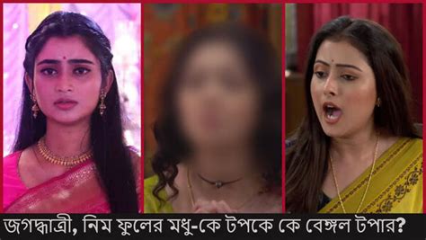 Trp List জগদ্ধাত্রী বা নিম ফুলের মধু নয় সবাইকে চমকে ভোটের বাজারে